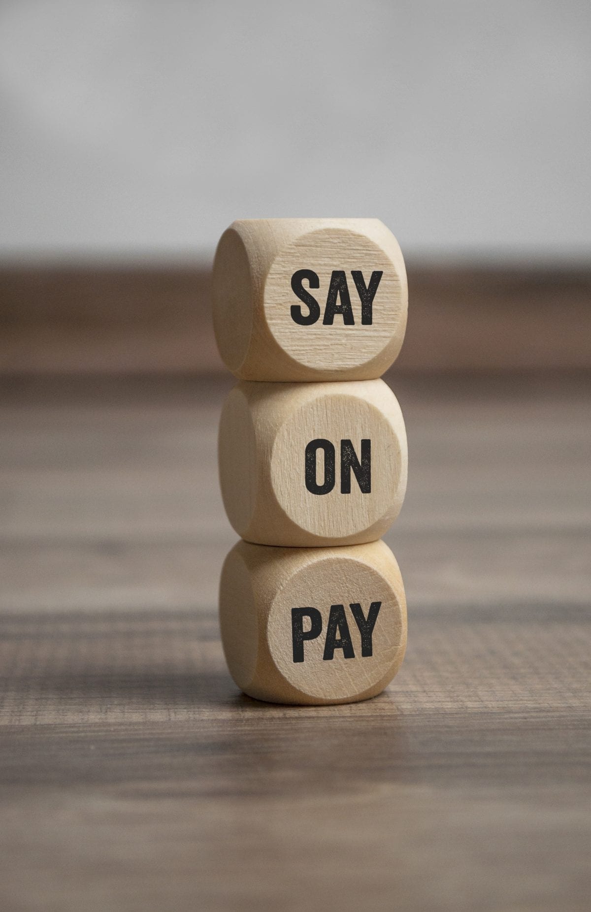 “Say on Pay” Legislation: A Brief and Non-Binding Overview